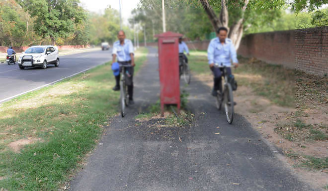 ਚੰਡੀਗੜ੍ਹ ਦੀ ਤਰਜ਼ ''ਤੇ ਮੋਹਾਲੀ ''ਚ ਵੀ ਬਣਨਗੇ ਸਾਈਕਲ ਟਰੈਕ