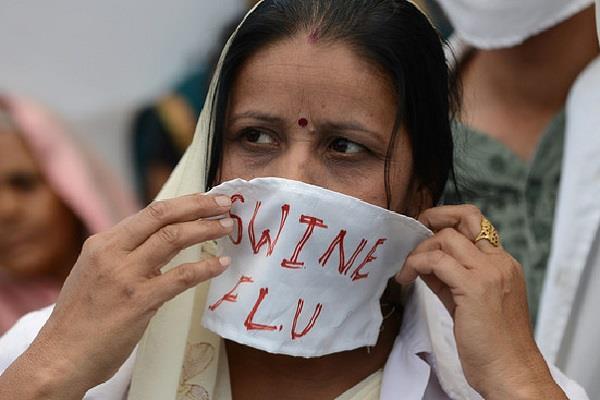 377 deaths due to swine flu in india  31 in punjab