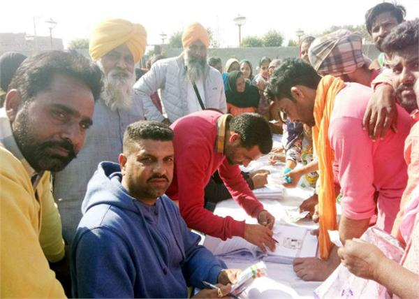 sarpanch  wheat  sonu cheema