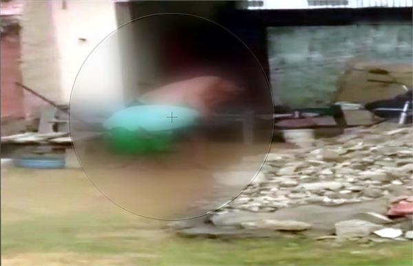 teacher thrashed his 82 year old paralytic mother in alwar