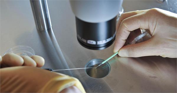 uk approves birth of children from dna of three people
