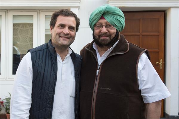 amarinder meets rahul gandhi