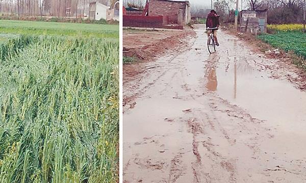 increased cold due to rains