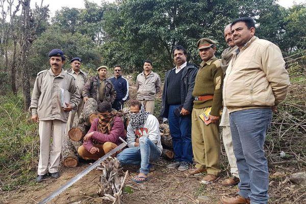 the forest department  s wooden robbery control  2 escaped