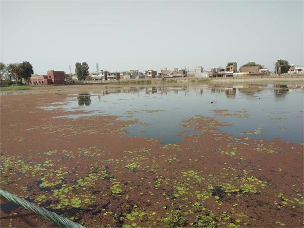 in muktsar had threatened to match the chemical in water