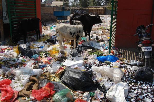 65 thousands of homes and shops did not carry garbage  dumps on dumps