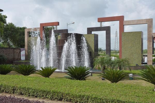 blind harvest of trees under the guise of development