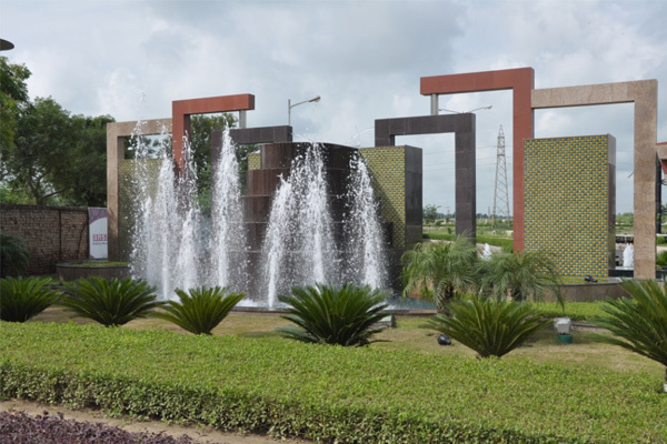 ਵਿਕਾਸ ਦੀ ਆੜ ''ਚ ਹੋਈ ਦਰੱਖਤਾਂ ਦੀ ਅੰਨ੍ਹੇਵਾਹ ਵਾਢੀ