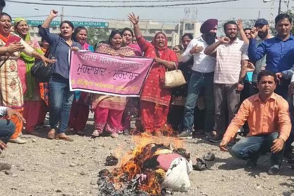 teachers blame punjab government  s image