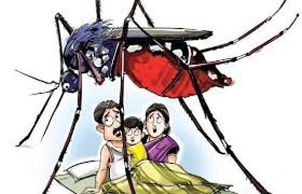 dengue