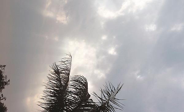 the temperature rose by 2 to 4 degree celsius
