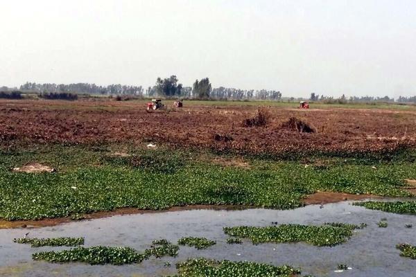 due to ending the river waters of the river sutlej 