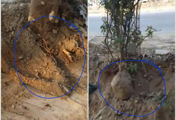 ਪ੍ਰਸ਼ਾਸਨ ਨੇ ਚੁੱਪ ਧਾਰੀ, ਲੱਖਾਂ ਦੀ ਸਰਕਾਰੀ ਮਿੱਟੀ ਚੋਰੀ