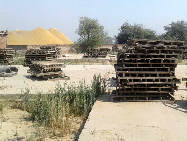 ਕਣਕ ਸਟੋਰ ਕਰਨ ਲਈ ਖਰੀਦ ਏਜੰਸੀਆਂ ਨੂੰ ਕਰਨਾ ਪੈ ਸਕਦੈ ਦਿੱਕਤਾਂ ਦਾ ਸਾਹਮਣਾ