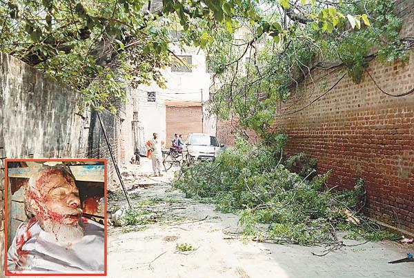 the laborer fell upon cutting trees  death