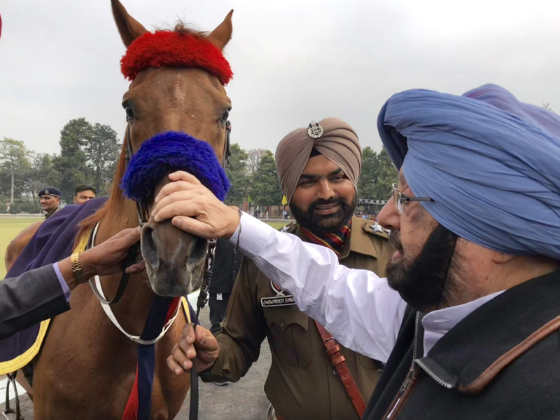 ਪ੍ਰਵੇਜ਼ ਵਲੋਂ ਭੇਟ ਕੀਤੇ ਘੋੜੇ ''ਸੁਲਤਾਨ'' ਨੂੰ 14 ਸਾਲ ਬਾਅਦ ਮਿਲੇ ਕੈਪਟਨ ਅਮਰਿੰਦਰ