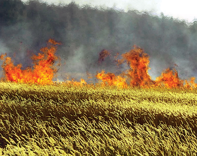 ਪੱਕੀ ਹੋਈ ਕਣਕ ਨੂੰ ਅੱਗ ਤੋਂ ਬਚਾਉਣ ਦੇ ਅਗੇਤੇ ਪ੍ਰਬੰਧ