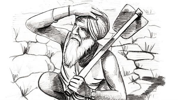 punjab farmer