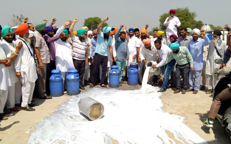 ਸੈਂਕੜੇ ਲਿਟਰ ਦੁੱਧ ਸੜਕ ''ਤੇ ਡੋਲ੍ਹਿਆ