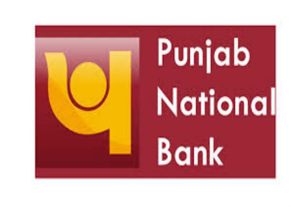 reserve bank annually handle hazard based monitoring  pnb