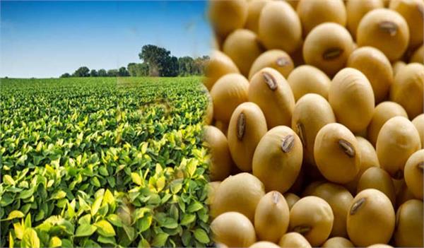 india imports on record soybean level