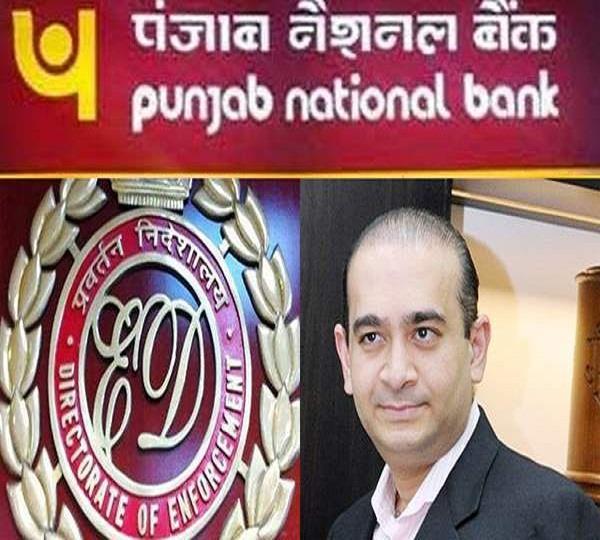 nirv modi  p  n  b scams