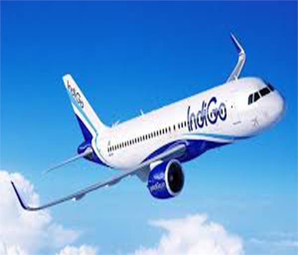 indigo airlines