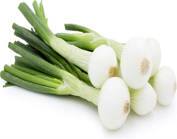green onions carries out many of the ailments in the body