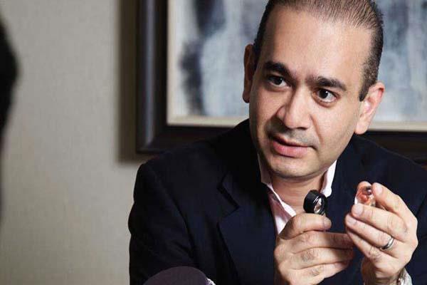 us court interim bans on debt collection on nirv modi  s company