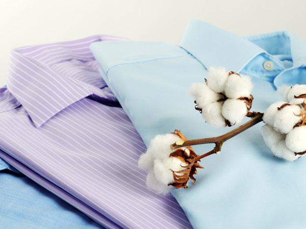 the area of cotton may decrease that can cost clothing 