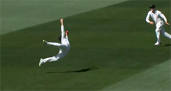 williamson  s surprised catch  video 