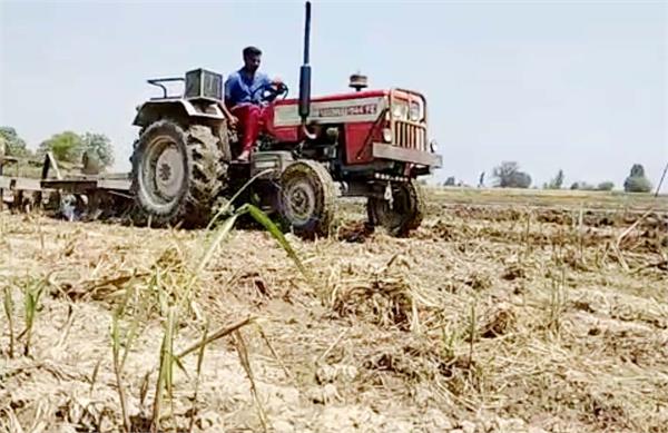 debt  farmers  sugarcane crop