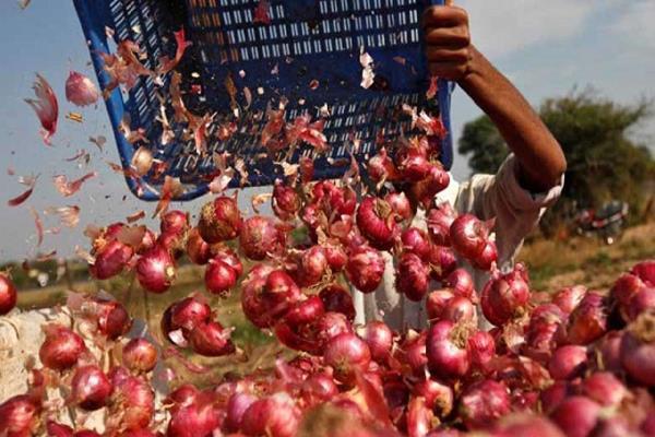 onion prices declines