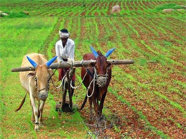 punjab governor to inaugurate bathinda kisan mela