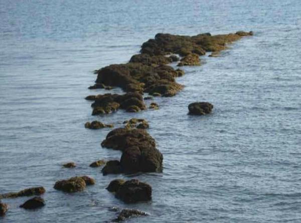 modi government said in the supreme court