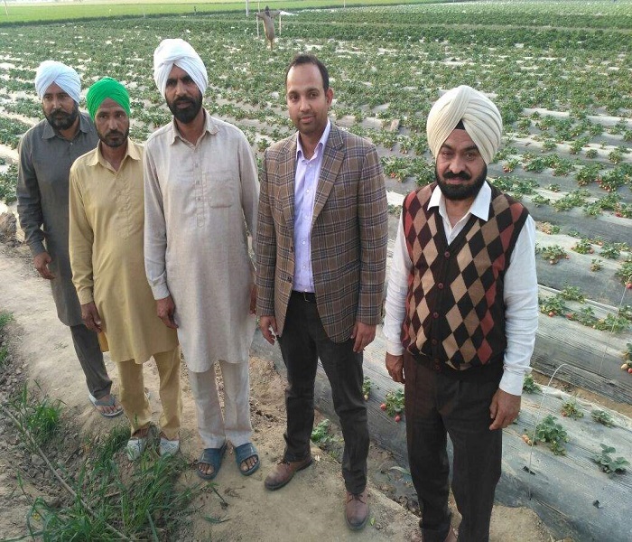 ਪਿੰਡ ਸੁਖਣਾ ਅਬਲੂ ਦੇ ਬਲਵਿੰਦਰ ਨੇ ਬਾਗਬਾਨੀ ਦੇ ਖੇਤਰ ''ਚ ਬਣਾਈ ਵੱਖਰੀ ਪਛਾਣ