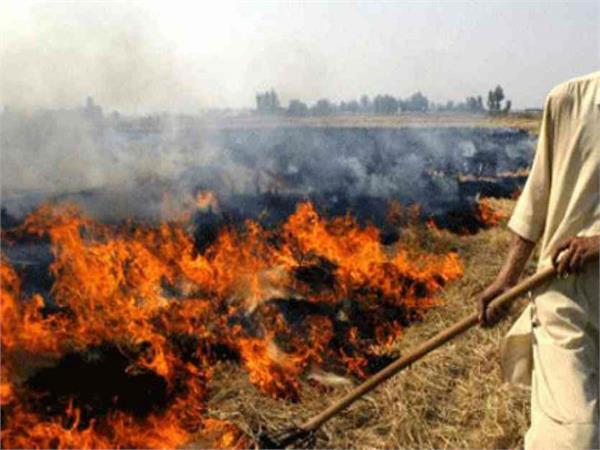 find solutions not to fight for burning strawberries