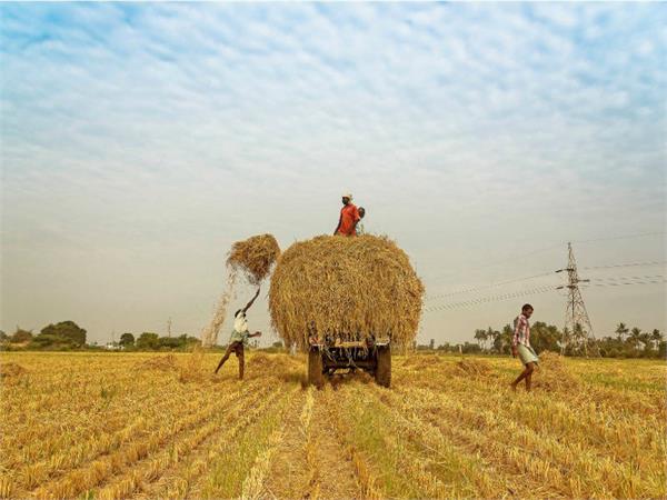 clockwise policy will be friendly to farmers  ajayvar jakhar