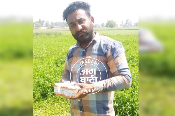 farmer receives rs 2 lakh from bershen farm