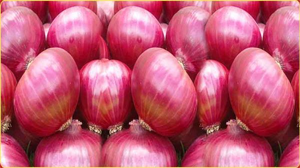 onion exports increased to 18 lakh tonnes in april november