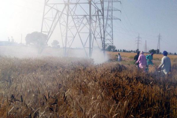 short circuit  wheat fire  farmers dream of ashes