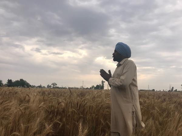 the farmers are forced to suffer double deaths in the fields and mandis