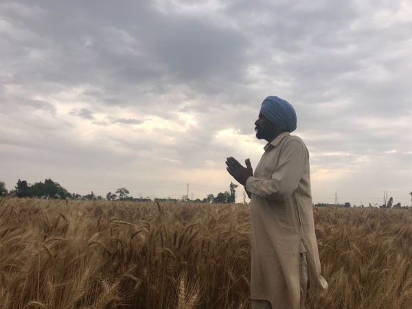 ਕਿਸਾਨ ਖੇਤਾਂ ਤੇ ਮੰਡੀਆਂ ''ਚ ਦੋਹਰੀ ਮਾਰ ਝੱਲਣ ਲਈ ਮਜਬੂਰ