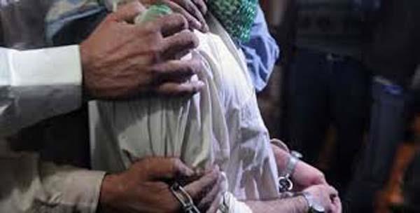 al qaeda members arrested