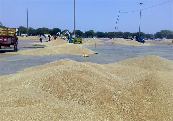 dana mandi at badhni kalan did not buy