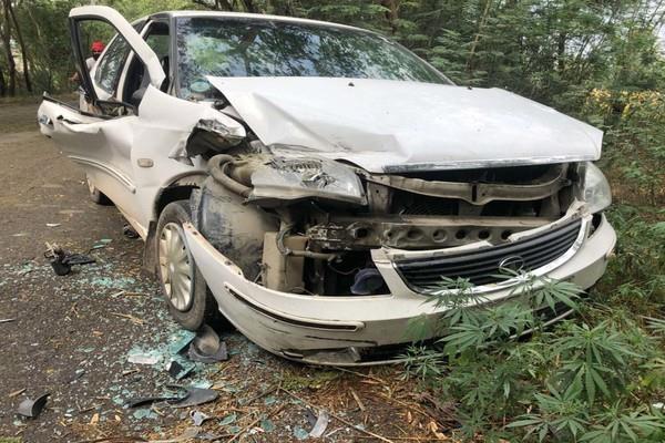 a car rider injured in a tractor trolley collapsed