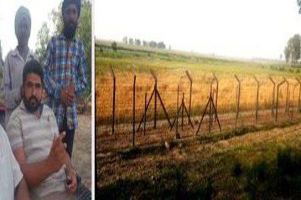 farmers   wheat animals across fencing in chautar on the border