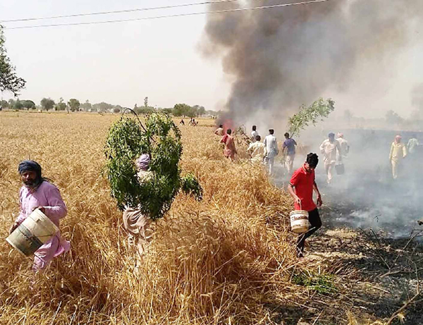 ਅੱਗ ਲੱਗਣ ਨਾਲ 7 ਏਕੜ ਕਣਕ, 22 ਏਕੜ ਨਾੜ ਸੜਿਆ