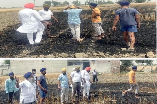with sparkling  10 acres of wheat burnt to ashes