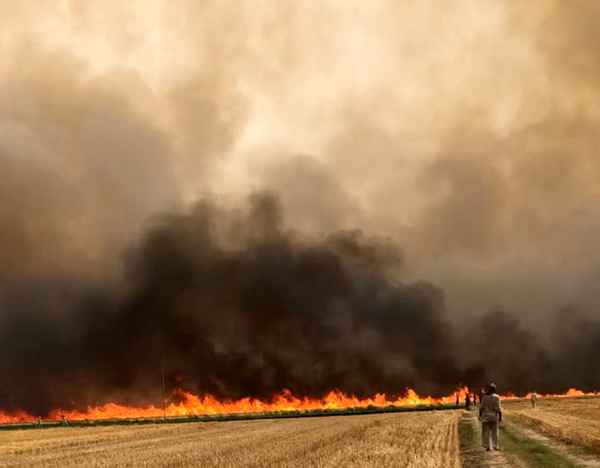 ਕਿਸਾਨਾਂ ਦੇ ''ਸੋਨੇ'' ''ਤੇ ਅੱਗ ਦਾ ਕਹਿਰ